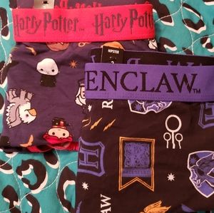 2 Pairs of Torrid Harry Potter Hipster Underwear